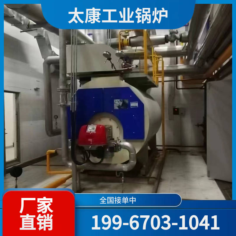 广安燃煤导热油锅炉